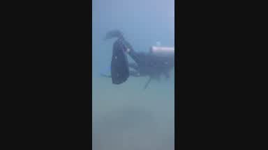 diving girl