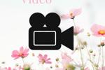Custom Video 10 mins