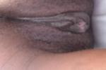 pussy