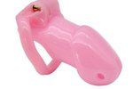 Chastity