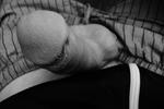 cock