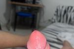 HEAD COCK