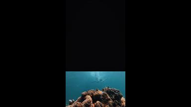 fundiving