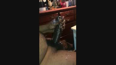 Slow Motion Cum