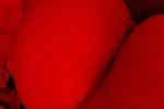 ass