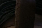 Gar de