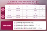 Lovense levels