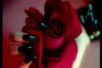 Your mistress' exquisite details