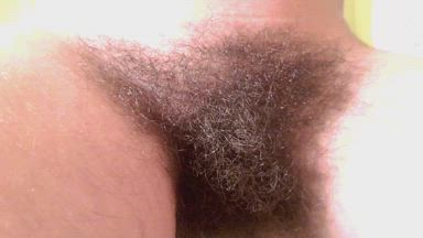 wet Bush wide open