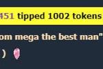 mega the best man