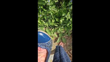 Cum in ballet flats