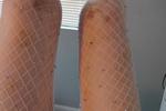 Legs in pantyhose