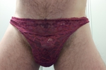 Wife's panties