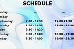 Schedule