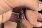 Cock piercing