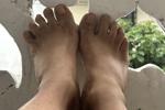 pies