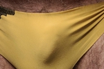 Borrowed panties