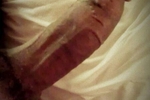 Cock