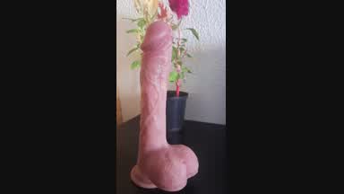 Beautiful real dildo with movement and vibrations