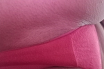 pussy