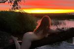SUNSET on the shore