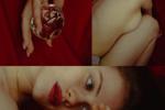 Aesthetics of shibari
