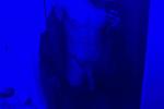 lalo112233vaz — Lalio