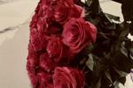 Miss_Love