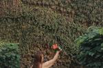 DAY WITH NATURE