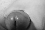 Hard Dick Pics