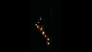 Wrapped in lights...unwrapped for you....