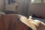 Sun sun sun
