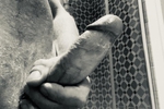 dickfreered — Dick