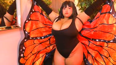 Sexy and mischievous butterfly