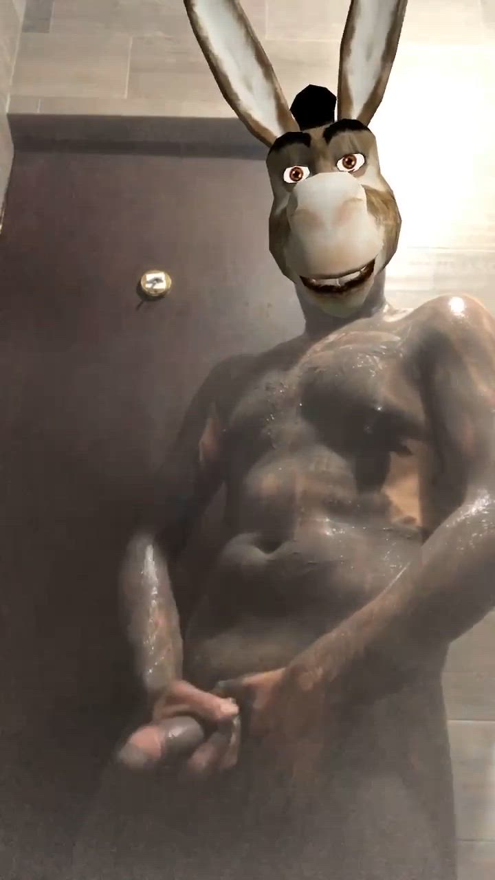 donkey