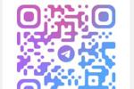 TELEGRAM CHANNEL