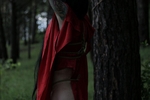 Tied up in the forest