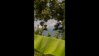 View from the window