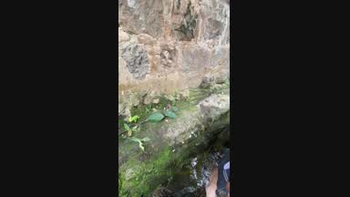 Facial in the river
