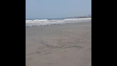 🏖️