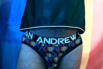 AC Palm Brief