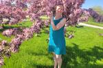 beautiful tree in the park
