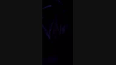 Cum Shot