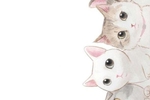 www