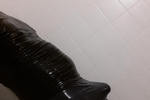 Wet