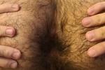 Furry hole