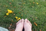 My feet