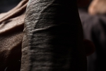 Moody dick pics