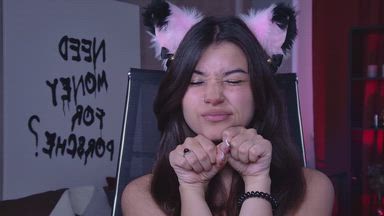 The kitten is being petted