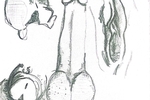 lapiz